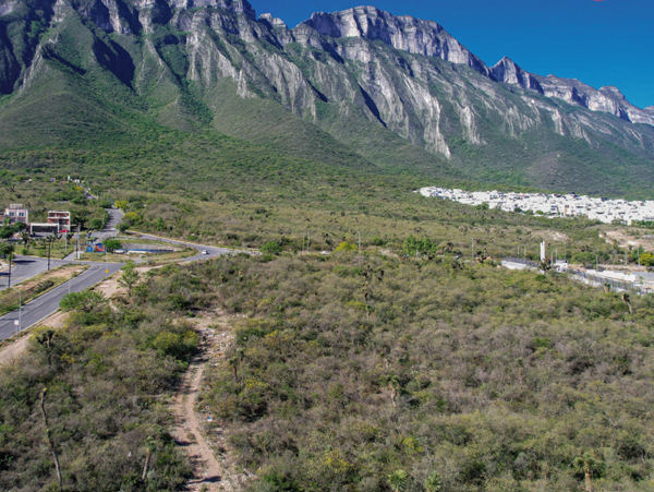 TERRENOS CUMBRES